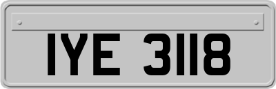 IYE3118