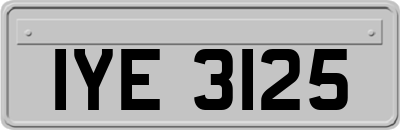 IYE3125