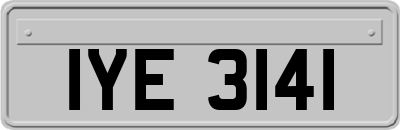 IYE3141