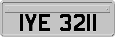 IYE3211