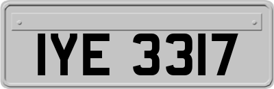 IYE3317