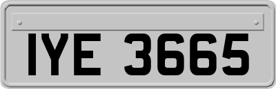 IYE3665