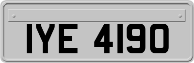 IYE4190