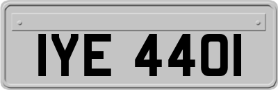 IYE4401