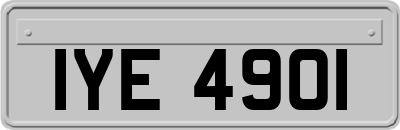 IYE4901