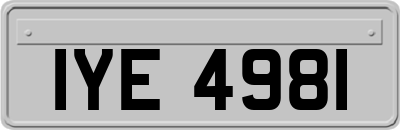 IYE4981