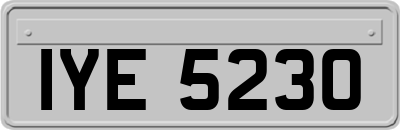 IYE5230