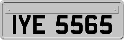 IYE5565