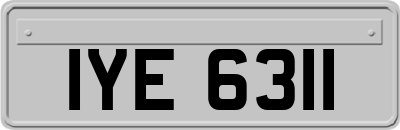 IYE6311