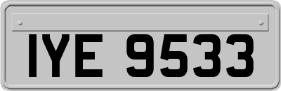 IYE9533