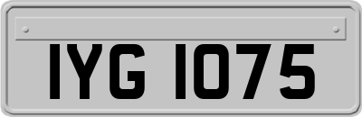 IYG1075