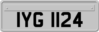 IYG1124