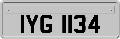 IYG1134