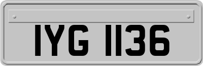 IYG1136