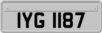 IYG1187