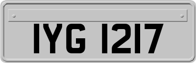 IYG1217