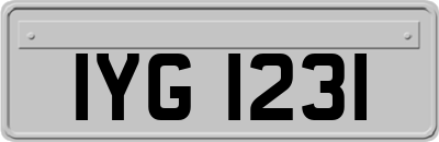 IYG1231