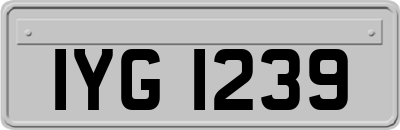 IYG1239