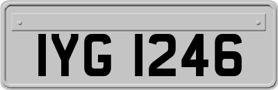 IYG1246