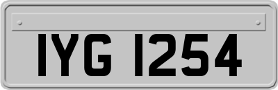 IYG1254