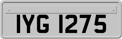 IYG1275