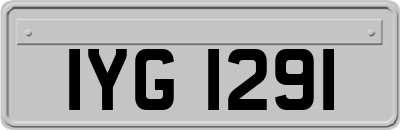 IYG1291