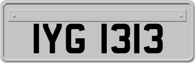 IYG1313