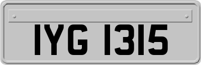 IYG1315