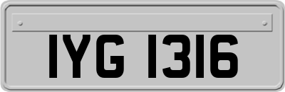 IYG1316