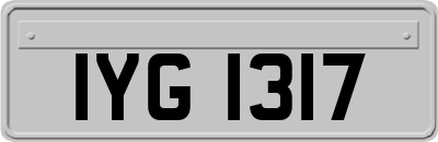 IYG1317
