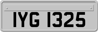 IYG1325