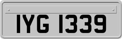 IYG1339