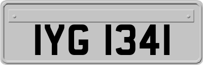 IYG1341