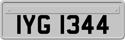 IYG1344