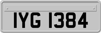 IYG1384