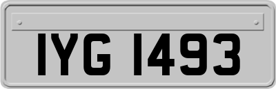 IYG1493