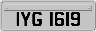 IYG1619