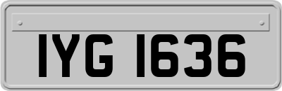 IYG1636