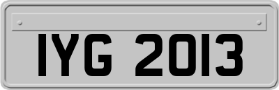 IYG2013
