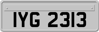 IYG2313