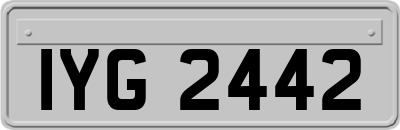 IYG2442