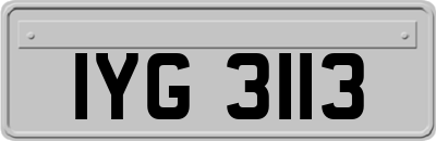 IYG3113