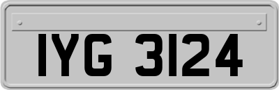 IYG3124