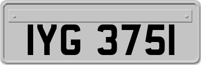 IYG3751