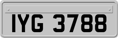 IYG3788