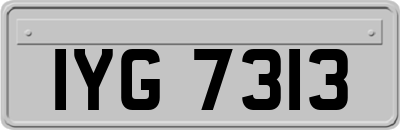 IYG7313