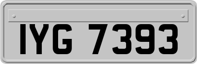 IYG7393
