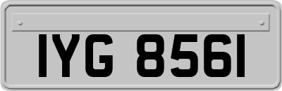 IYG8561