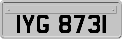 IYG8731