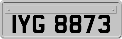 IYG8873